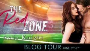 Blog Tour The Red Zone by Amie Knight